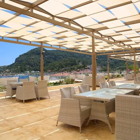 Premium טורונץ'