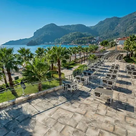 Premium טורונץ'