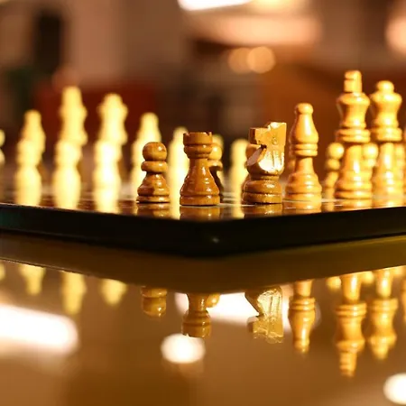 Premium 5* 투룬치